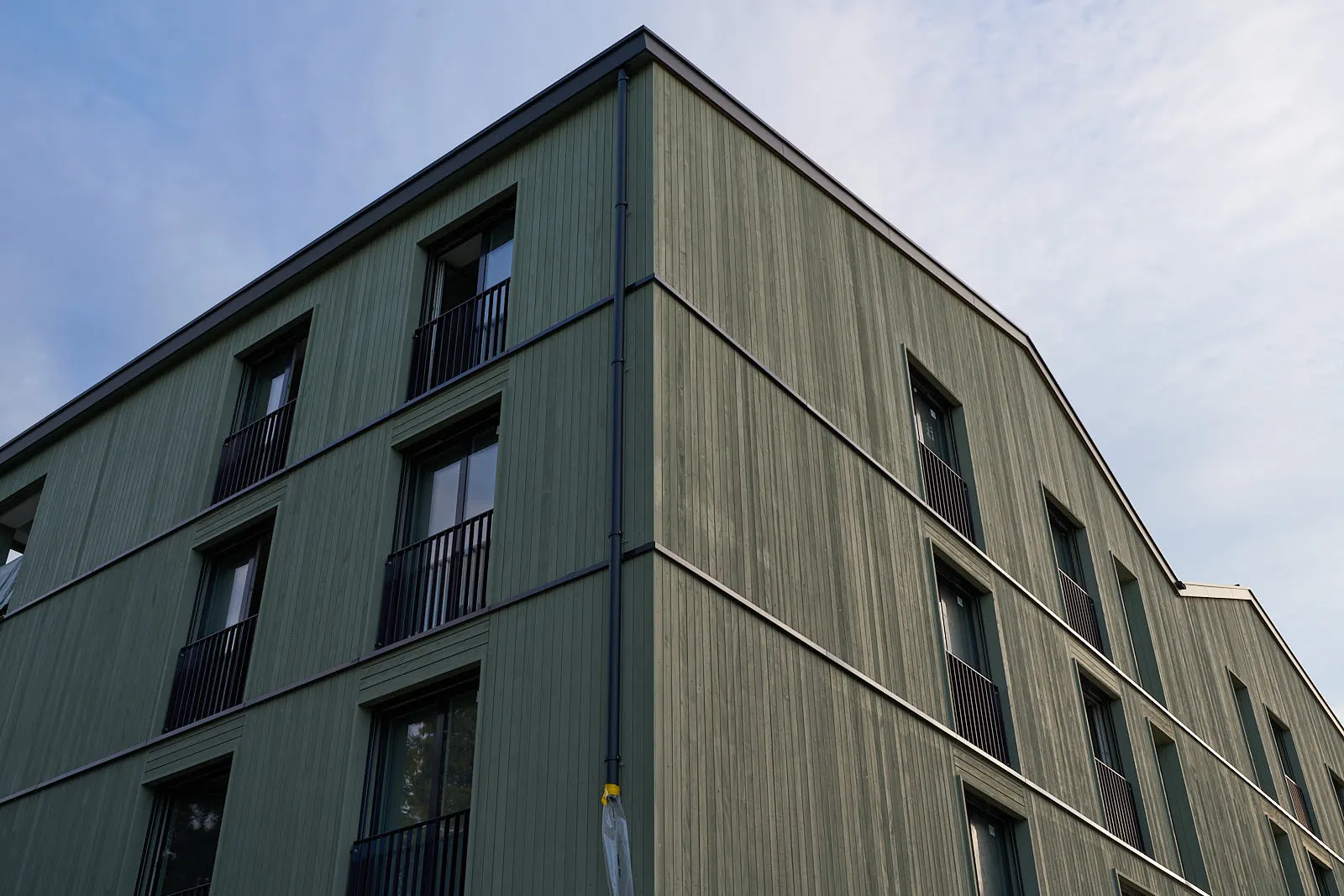 Rüschlikon: grüne Holzfassade, Gebäudeecke