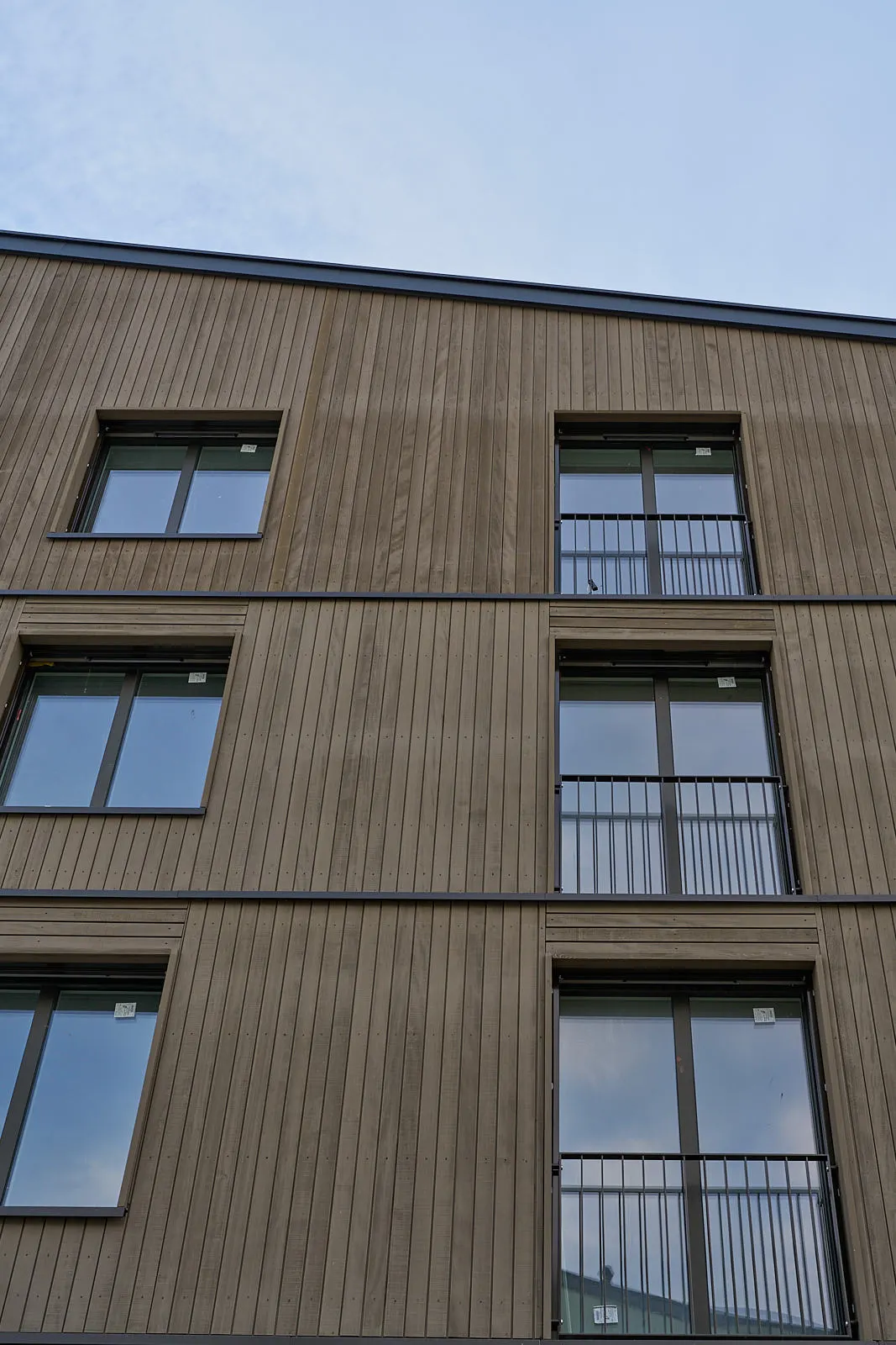 Rüschlikon: braune Holzschalung mit Fensterreihe